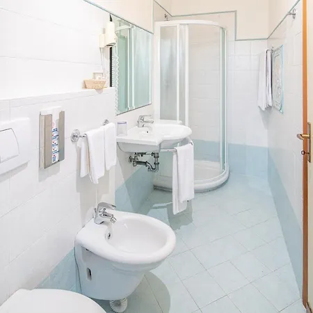 Hotell Alexander Bibione